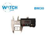 Original Swiss Made Buckle