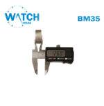 Original Swiss Made Buckle