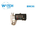 Original Swiss Made Buckle