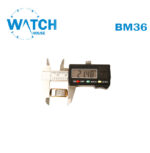 Original Swiss Made Buckle