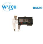 Original Swiss Made Buckle